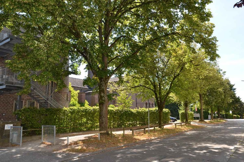 Kurse Und Seminare Klosterportal