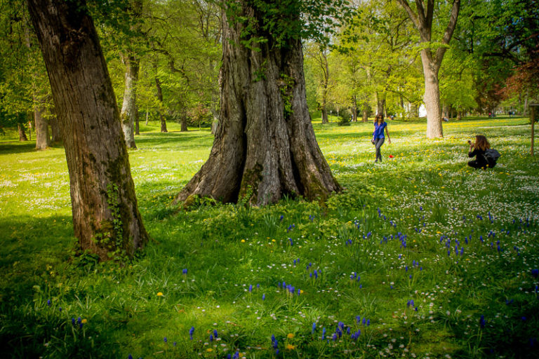 Sommerexerzitien Flyer2015 1 768x512