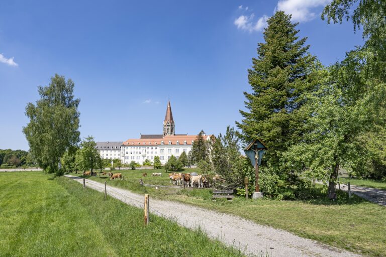 A738787 1 2500 Suedansicht  768x512