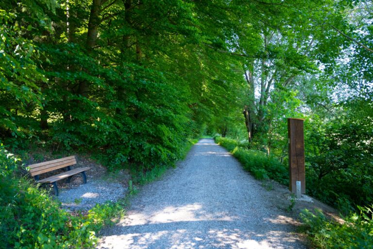 Auf dem Weg 1 768x512