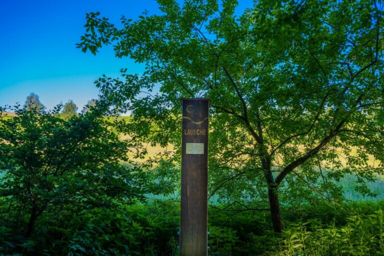 KP Meditationsweg4 768x512