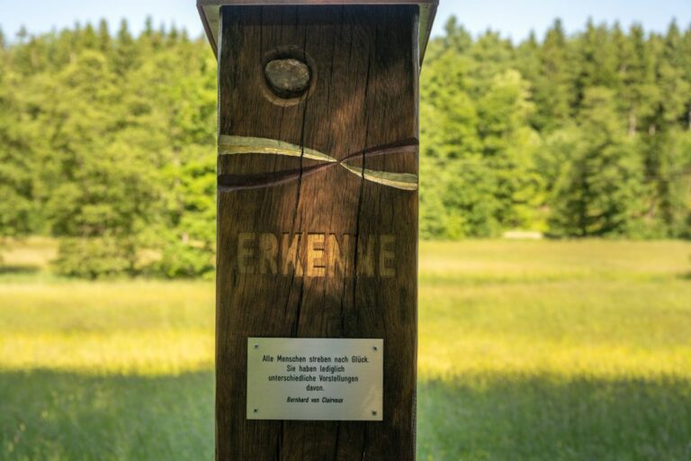 KP Meditationsweg4 768x512