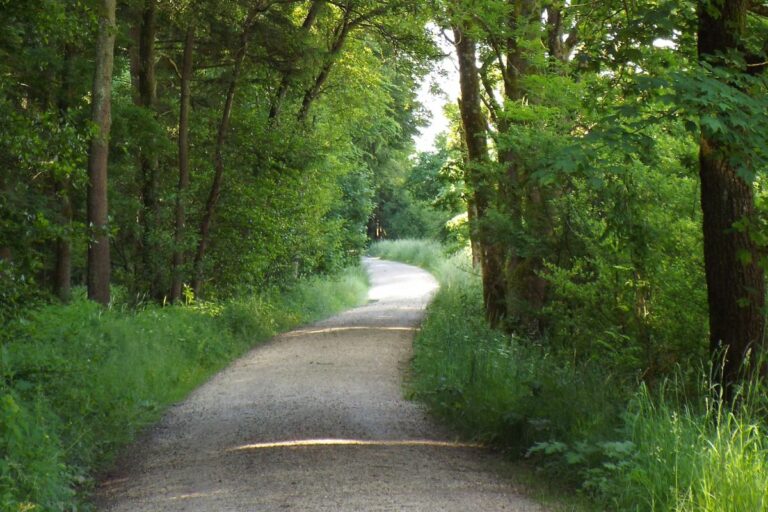 KP A VK Auf dem Weg 768x512