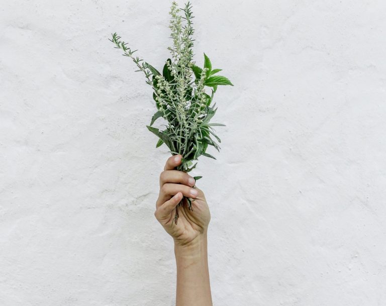 Kraeuternachmittag 768x609