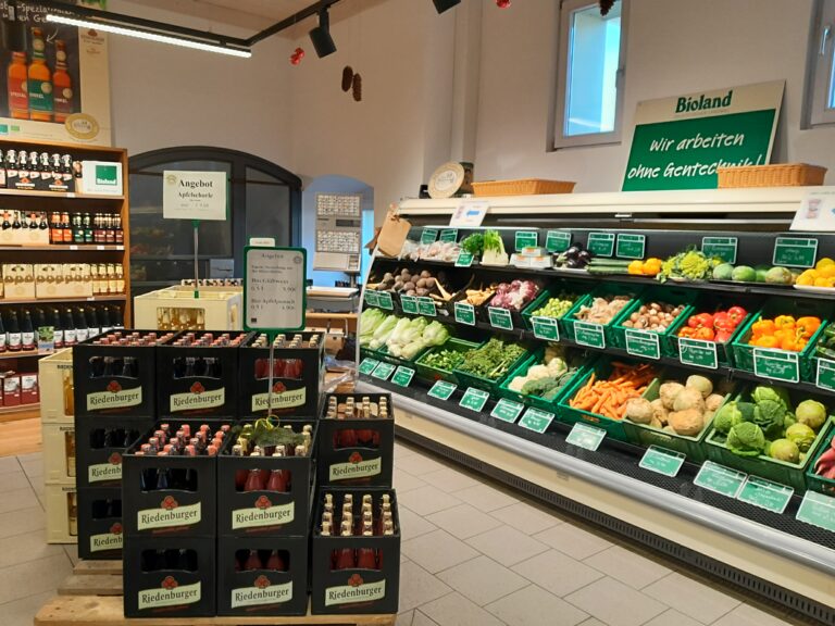 20221125 102816 768x576