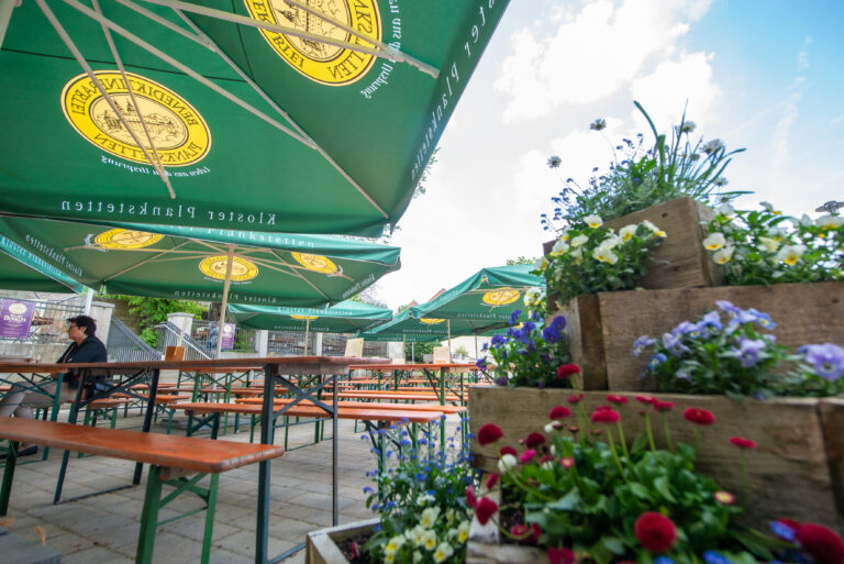 Plank 1 9218 768x513