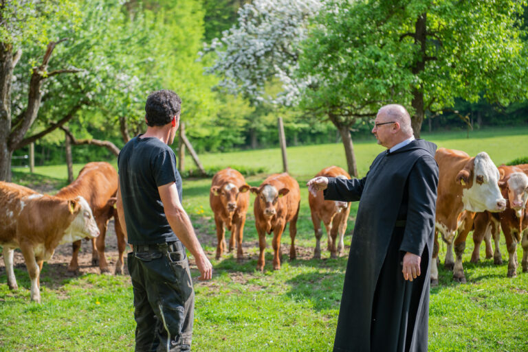 Plank 1 9570 768x513