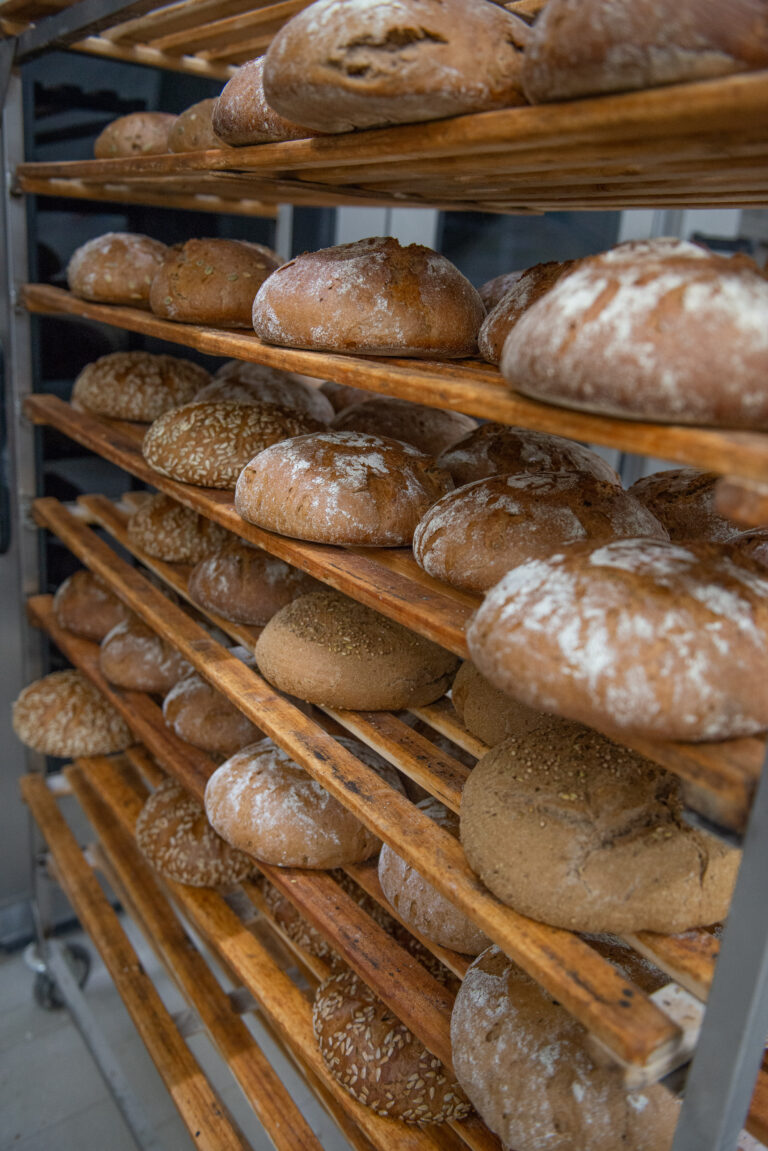 Plank 2 0654 768x1151