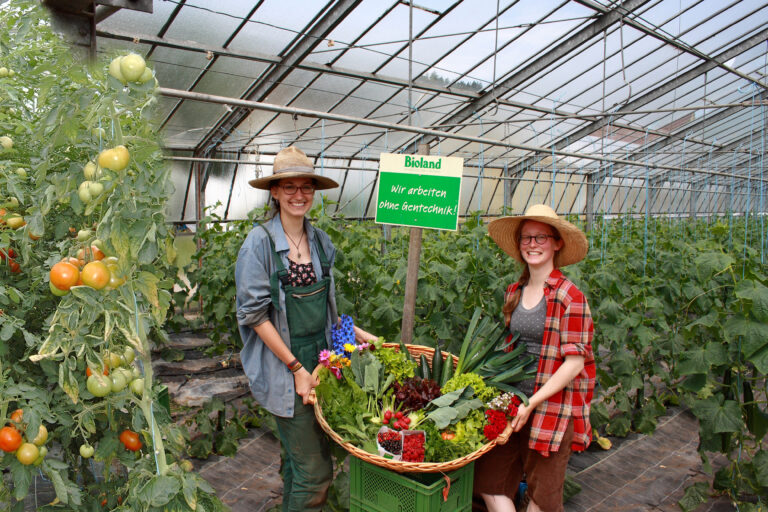 gaertnerei 004 collage 768x512