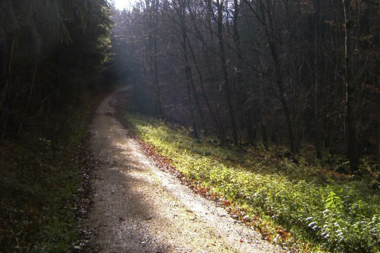 KP 2024 V Pilgerweg 768x512