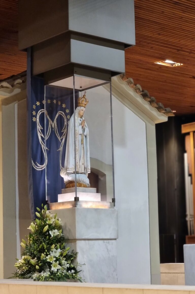 24 49 Fatima Pfr. Fleischer Titelbild 768x1159