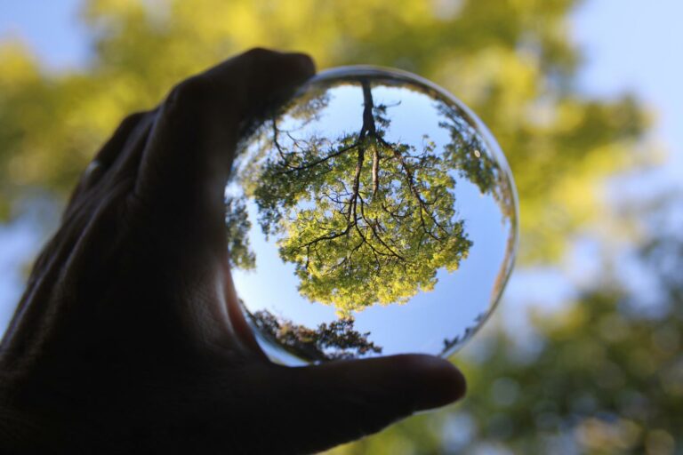 24 61 Lebensperspektiven P.Toennis Alfred Titelbild glasbaum by Christiane Raabe pfarrbriefservice 768x512