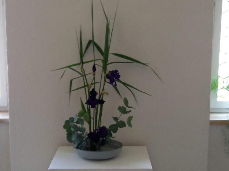 KP A Ikebana3 2024 06 24 768x576
