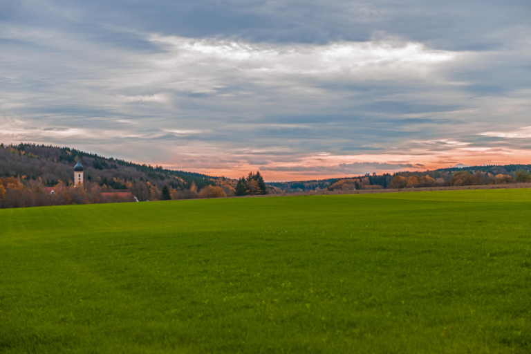 KP V Meditationstag 2 768x512