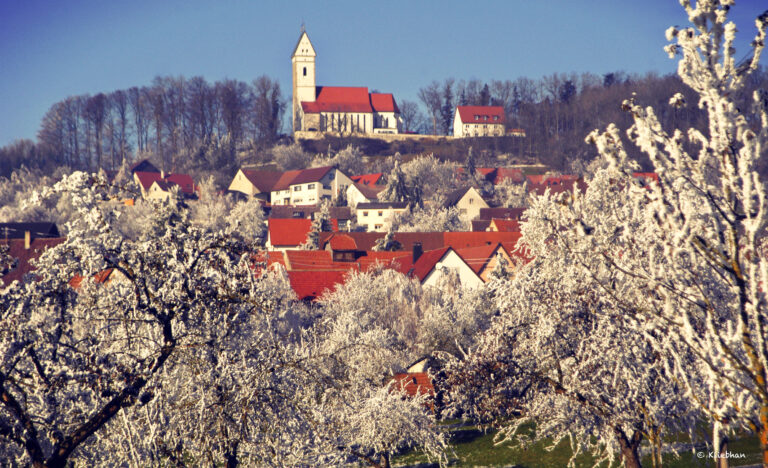 kliebhan bussen8 768x468