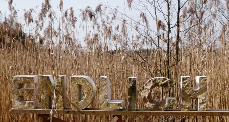 Oberschoenenfeld 128 768x411