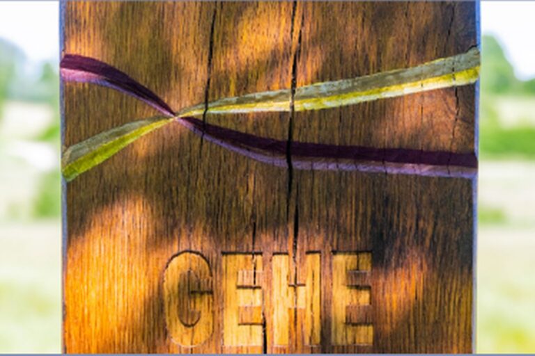 09 01 September v 768x512