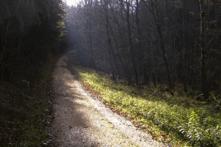 KP V Koerperweisheit2 Pehl 768x512