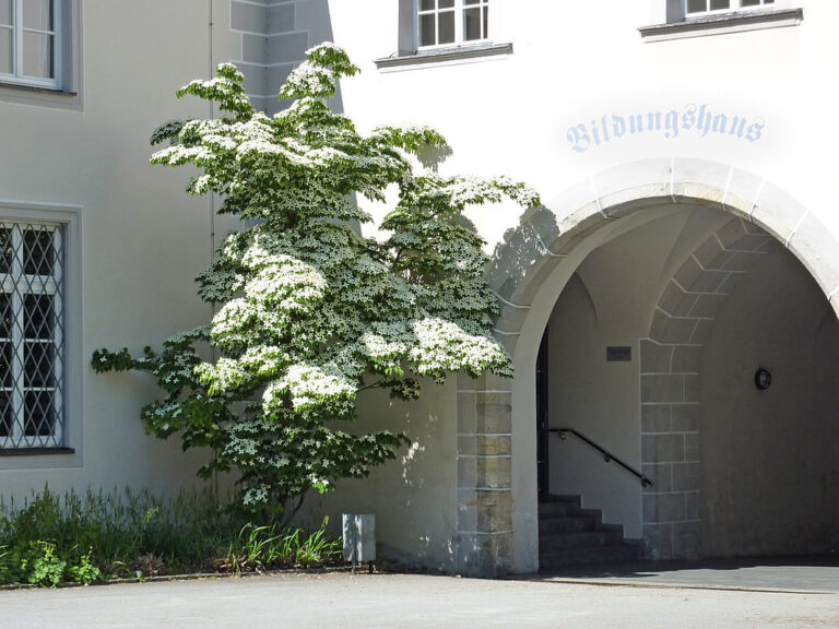 csm 311 eingang f9d1aad9e6 768x576