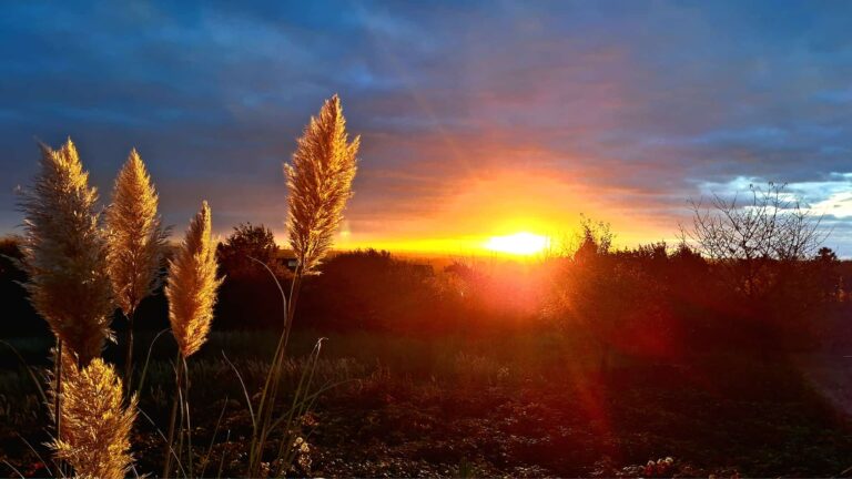 6c69c8fa 28df 4ae7 8f5f 86bc80cb91b1 768x432