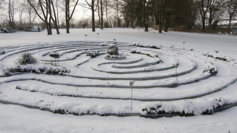 2016 01 17 007 768x432