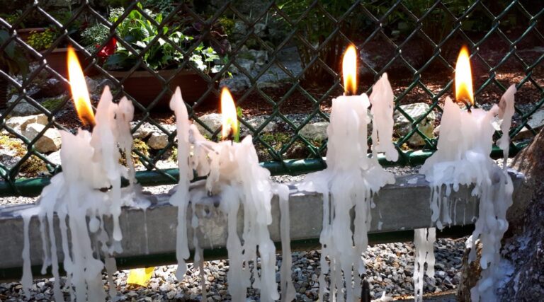 IMG 20190822 WA0146 768x427