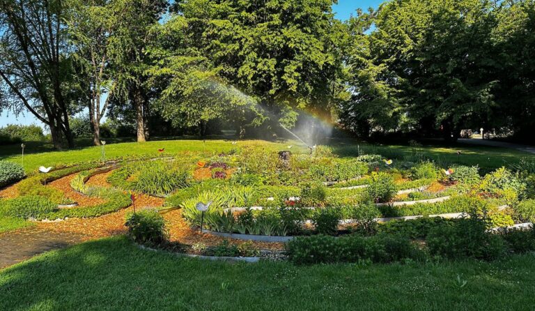 IMG 20230613 WA00171 1 768x446