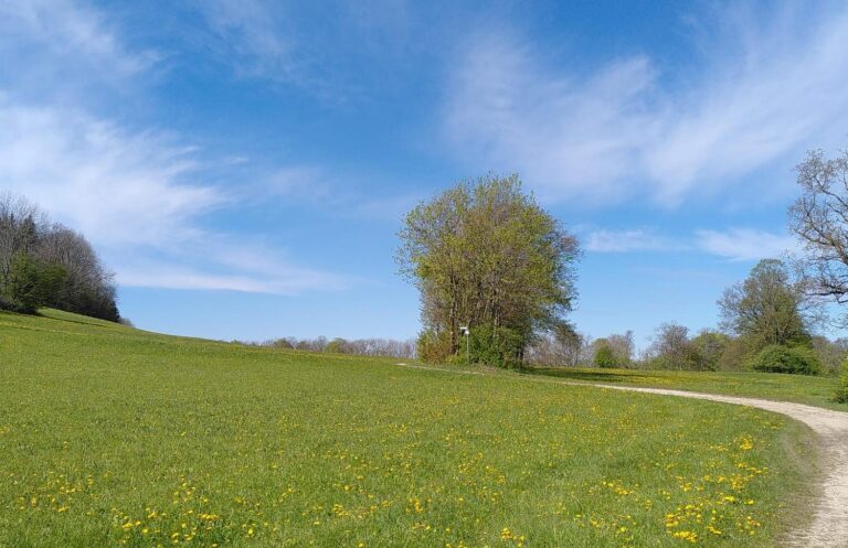 IMG 20240427 WA00001 768x497