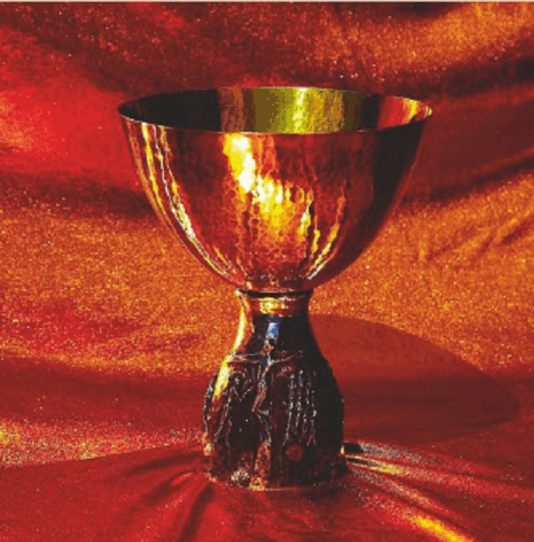 26 23 Mission des Blutes Christi P. Dr. Winfried M. Wermter C.O. Titelbild 768x780