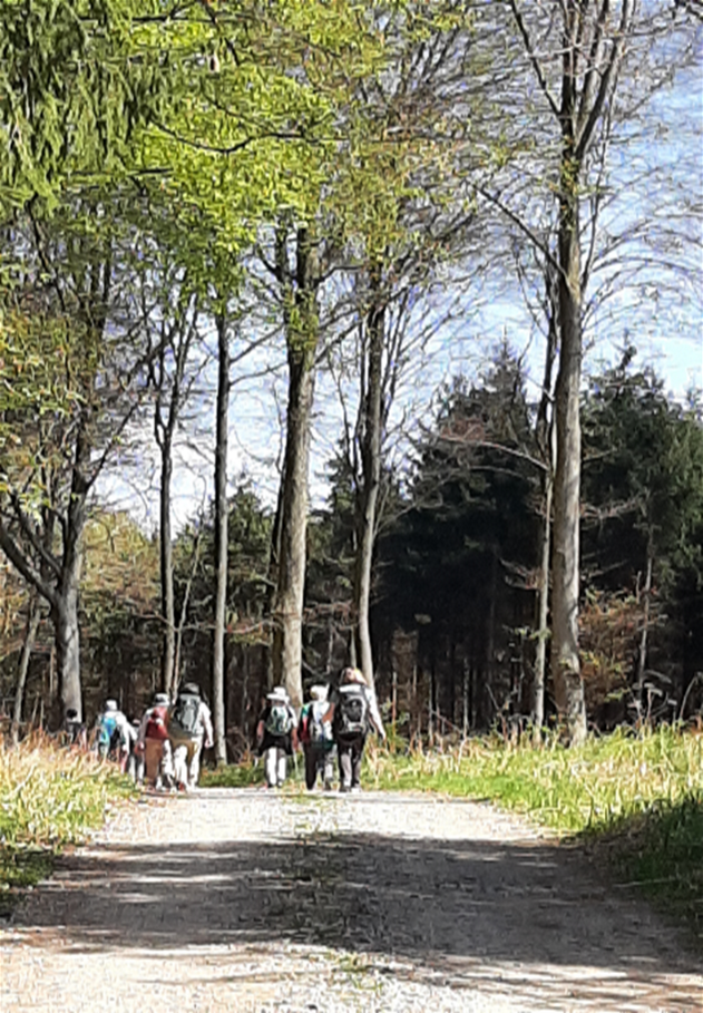 26 49 Die Stille hoeren Hanne Stroppel Frauenpilgern Titelbild