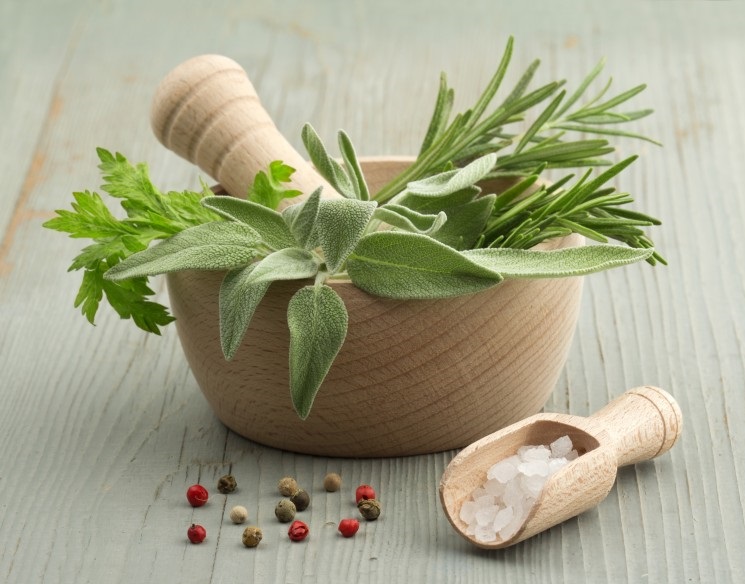 26 50 roland hartmann.ch OZ0030 Kraeuter 876x584 Titelbild