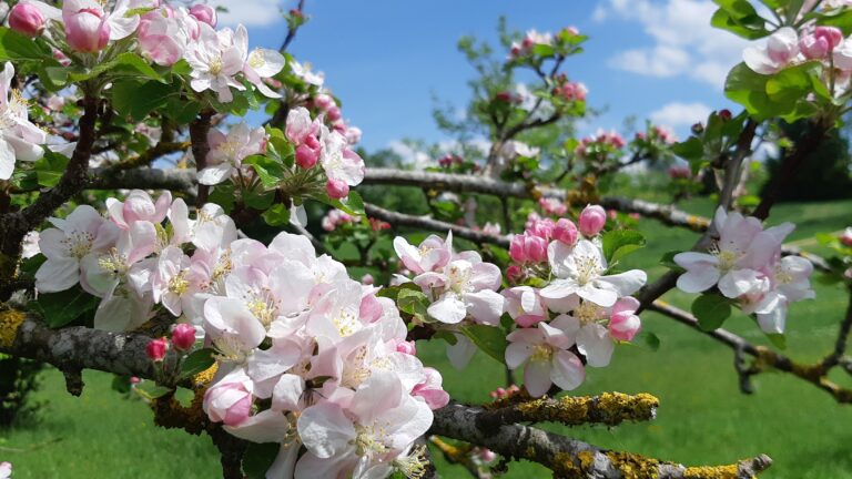 20200510 150436 768x432