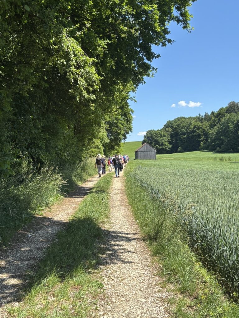 2026.04.25 Orgelwanderung c Bildungszentrum Roggenburg 768x1024