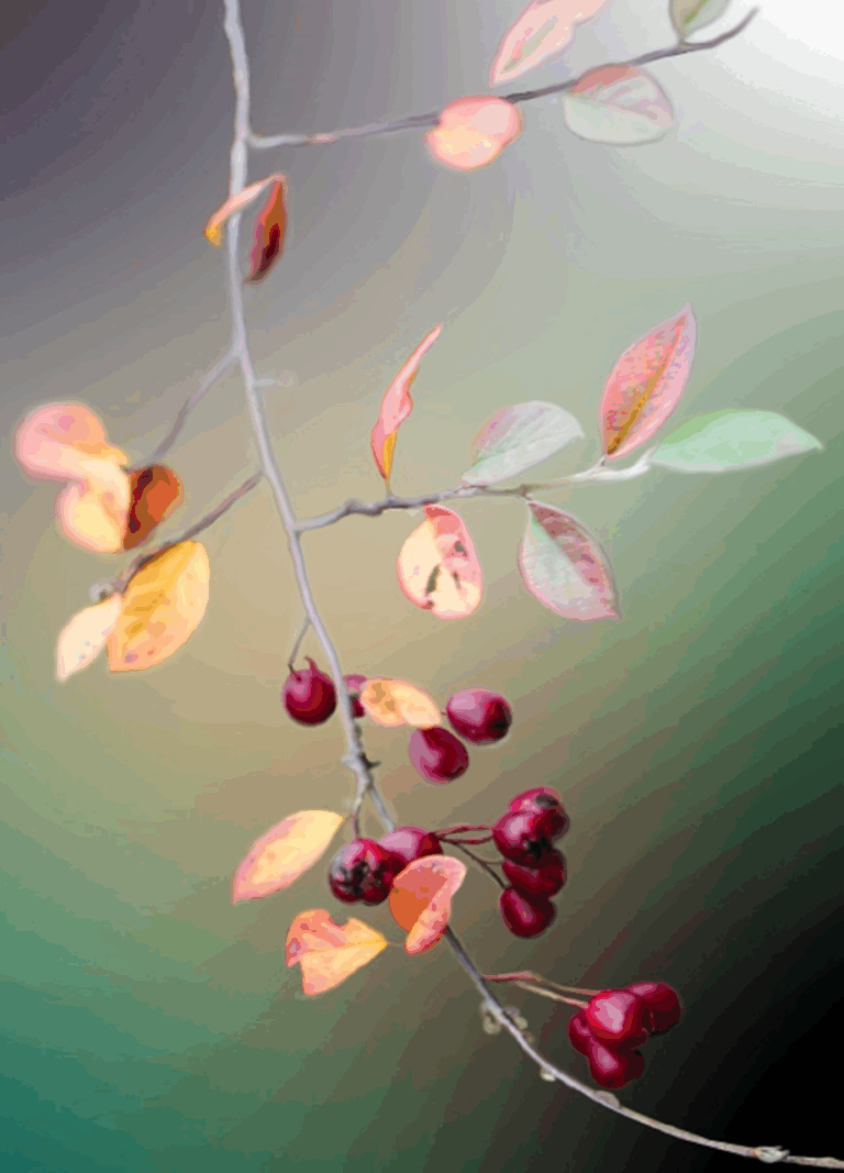 26 54 Herbstfuelle Ernestine Verdura Titelbild 768x1067