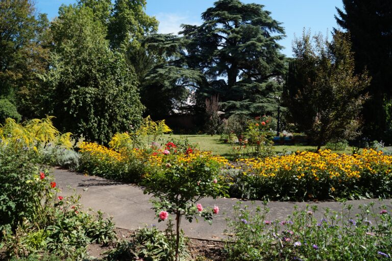 Der liebevoll gepflegte Garten 1 768x511