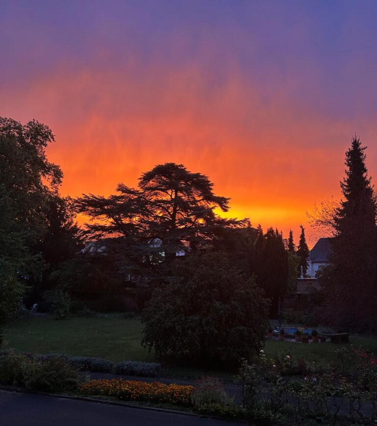 Sonnenaufgang im Josefsstift 768x868